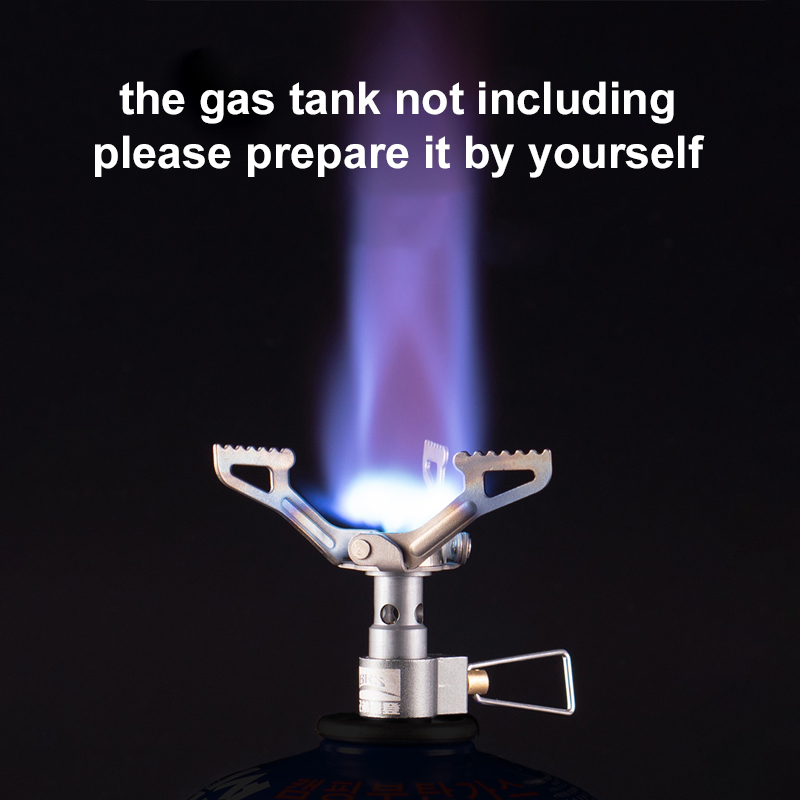 BRS Outdoor Gasfornuis Mini Ca - Home Cooking Gas Stove recensie en prijs